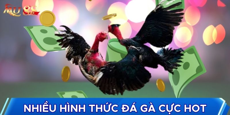 Nhiều hình thức đá gà cực hot
