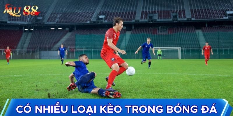 Có nhiều loại kèo trong bóng đá cần biết